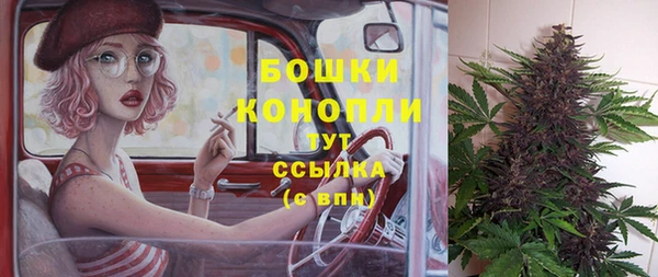 стафф Волосово